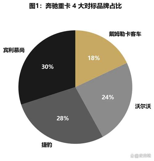 南京市夜鹭云人工智能科技公司史杰松案例分享《奔驰重卡落户北京项目
